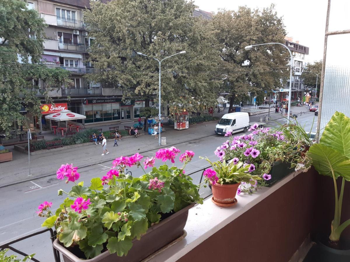 Apartman Nada Appartement Požarevac Buitenkant foto